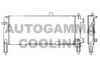AUTOGAMMA 100704 Radiator, engine cooling